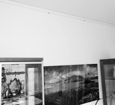 GARDUNA Bilderschiene / Galerieschiene / Schleuderschiene: Aluminium, weiß, glatte, glänzende Oberfläche, 1-läufig